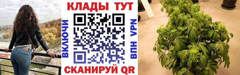 Где купить наркотики Новый Оскол Галлюциногенные грибы  МАРИХУАНА  MEGA как войти  Гашиш  Alpha-PVP  Амфетамин  МЕФ 
