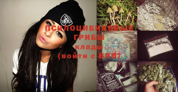 гашик Баксан