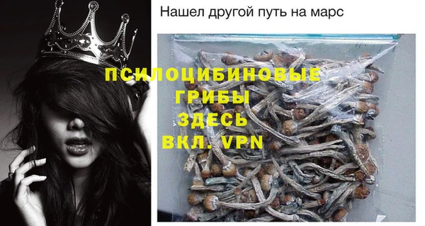 прущие крисы Балахна