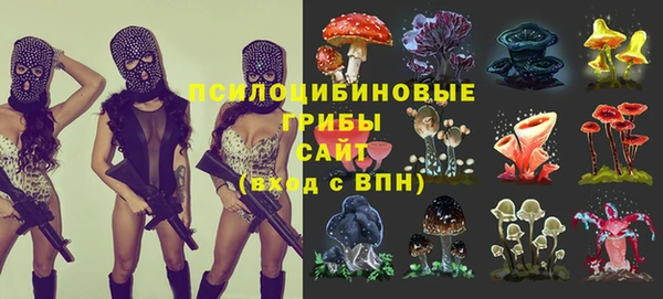 гашик Баксан