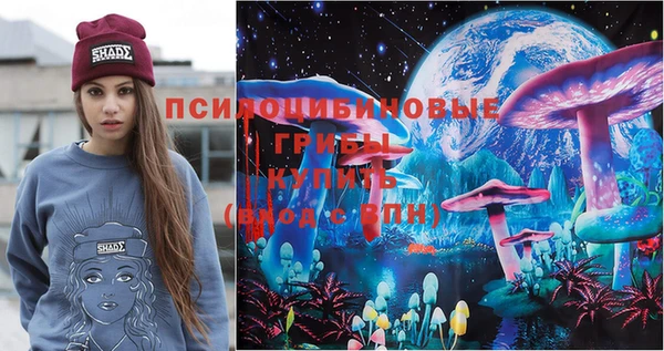 гашик Баксан