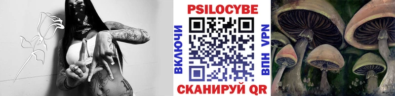 Галлюциногенные грибы Cubensis  площадка как зайти  Новый Оскол 